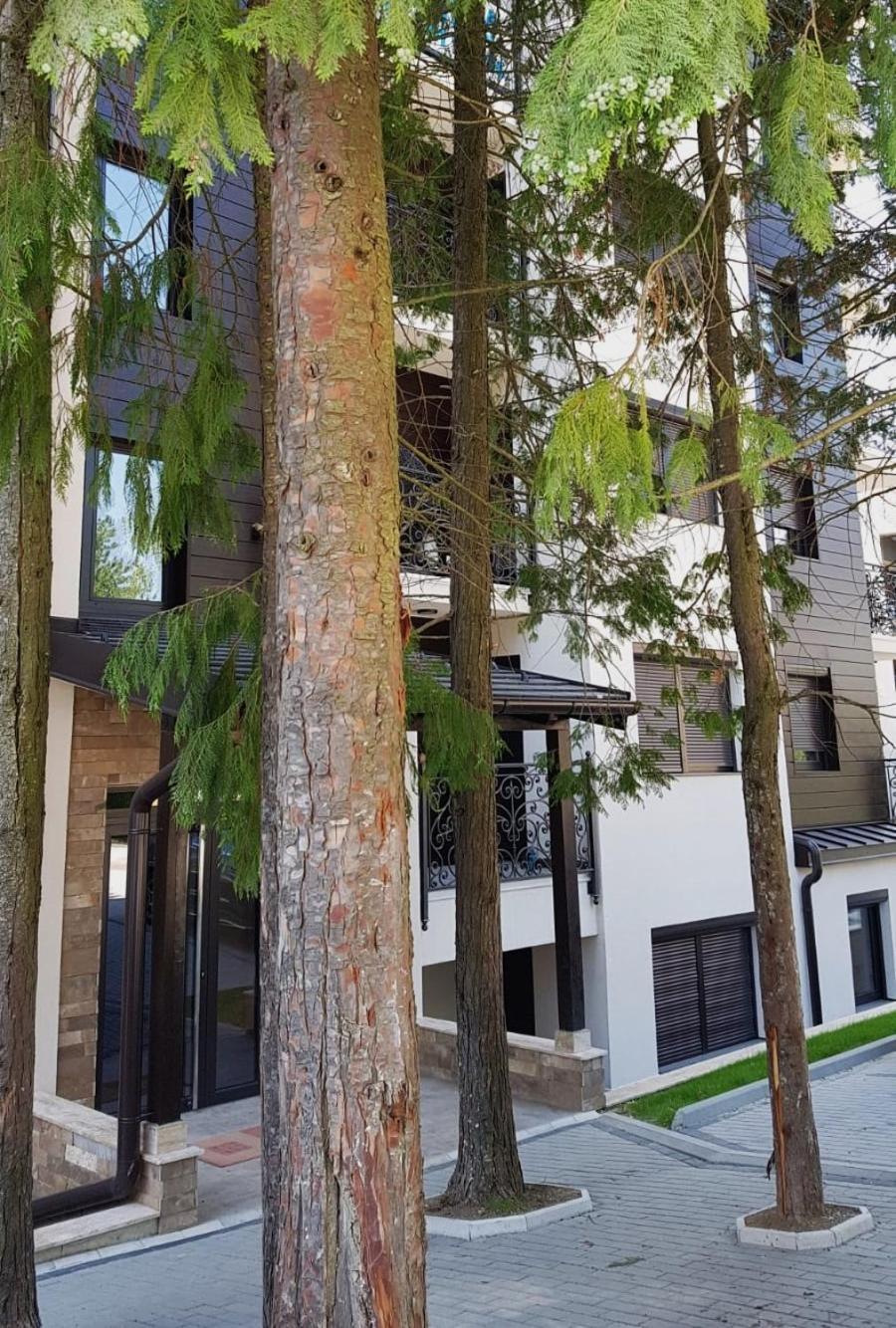 Apartman 11 Breza Zlatibor Zewnętrze zdjęcie